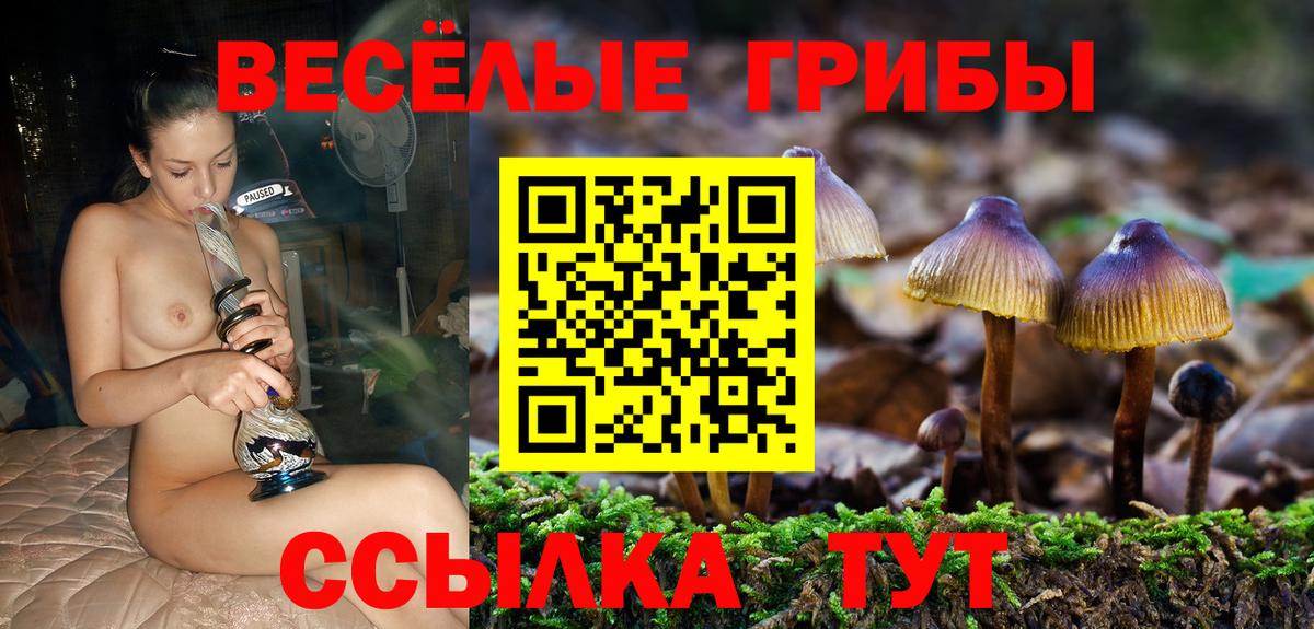 Глазов  Галлюциногенные грибы Magic Shrooms  Вход с VPN 