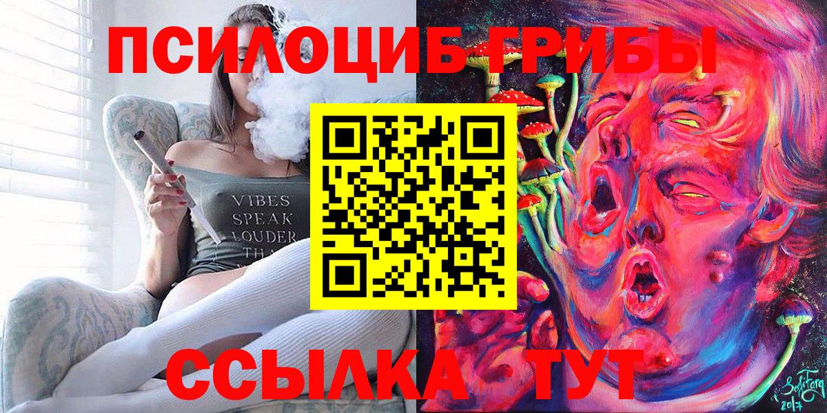 Галлюциногенные грибы Cubensis  Глазов  Галлюциногенные грибы Psilocybine cubensis 