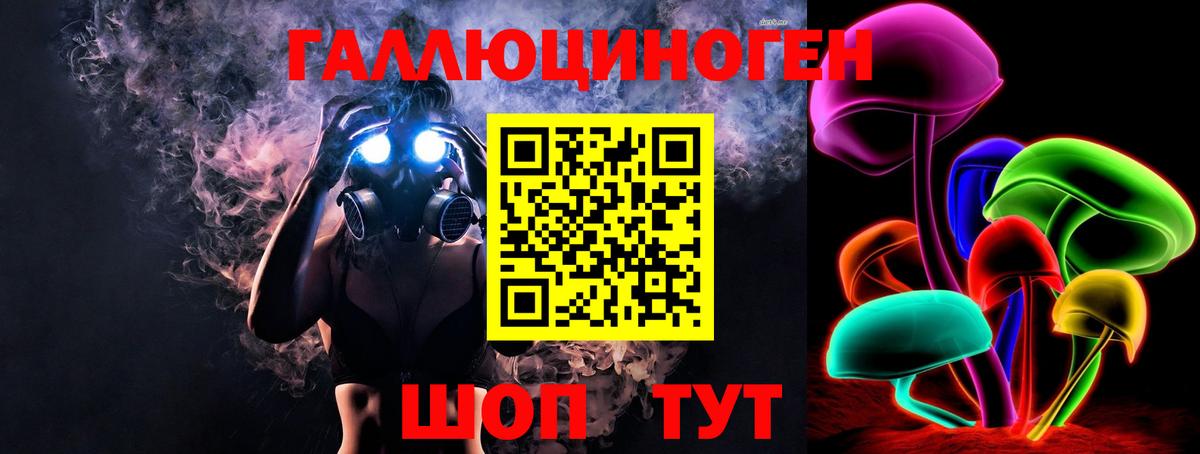 Галлюциногенные грибы Psilocybe Глазов